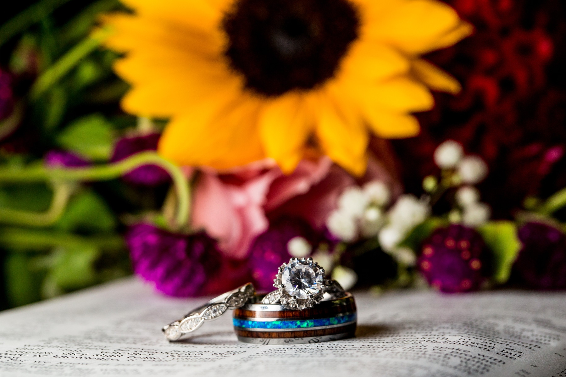 Little Buffalo State Park Wedding